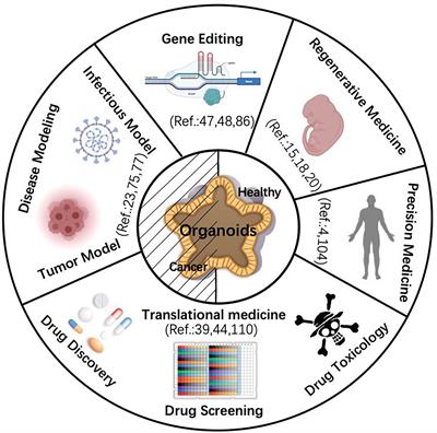 Application of Organoids in Carcinogenesis Modeling and Tumor Vaccination